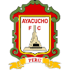 比納國(guó)際